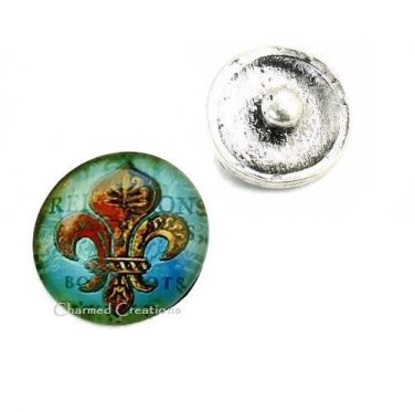 Fleur De Lis Interchangeable Button Snap Photo Bubble Charm 18mm #324
