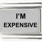 I'm Expensive 9mm Italian Charm Stainless Steel Modular Laser Link