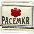 Pacemaker Medical Alert Link For 9mm Italian Charm Bracelets Heart Failure
