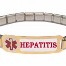 Hepatitis 9mm Italian Charm Medical Alert Starter Bracelet Stainless Steel Links