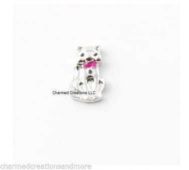 Kitty Cat Kitten Pink Pet Collar Floating Charm For Glass Memory Locket Necklace