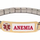 Anemia 9mm Italian Charm Medical Alert Starter Bracelet Stainless Steel Links