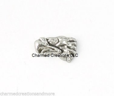 10pc Lot  Bald Eagle Sea Bird Hawk Floating Charm For Glass Memory Locket