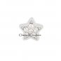 CZ Celestial Star Floating Charm For Our Glass Memory Locket Necklaces