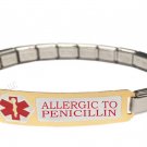 Allergic To Penicillin 9mm Italian Charm Medical Alert Shiny Starter Bracelet