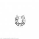 10pc Crystal Horseshoe Good Luck Cowboy Floating Charm F/ Glass Memory Locket