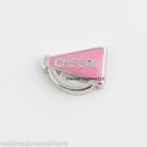 10 Pink Megaphone Cheerleader Cheerleading Floating Charm F Glass Memory Lockets
