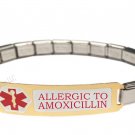 Allergic To Amoxicillin 9mm Italian Charm Medical Alert Shiny Starter Bracelet
