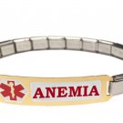 Anemia Blood Disorder 9mm Italian Charm Medical Alert Shiny Starter Bracelet