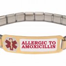 Allergic To Amoxicillin 9mm Italian Charm Medical Alert Starter Bracelet