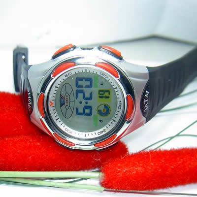 Elegant Fashion watch