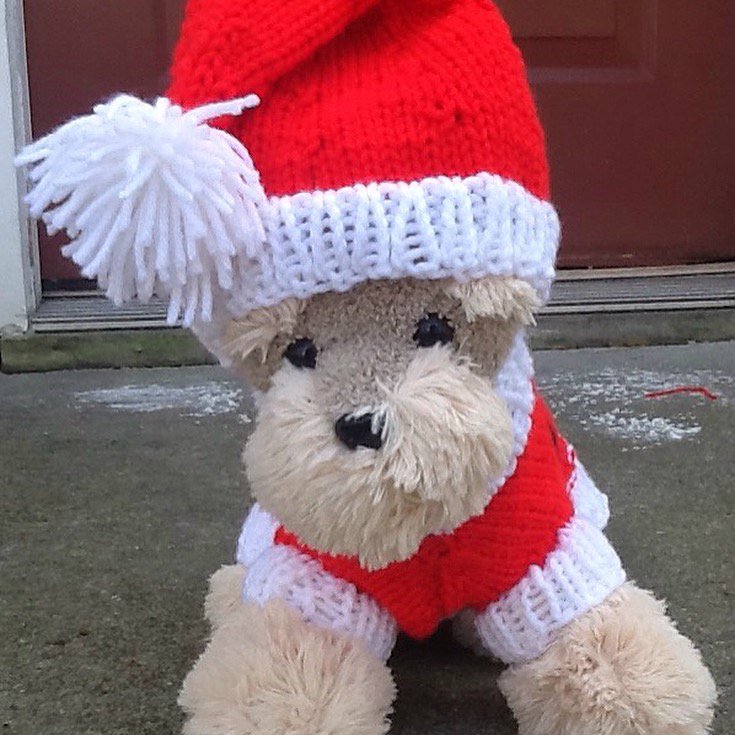 Santa paws dog sweater set