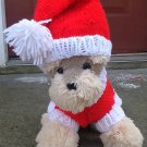 Santa paws dog sweater set