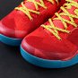 Kobe 8 Protro "Year of the Horse"