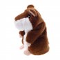 LYGF E00199-2 Creative Toys Talking Hamster Pet Electronic Speak Record Plush Baby Chocol