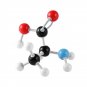 Molecular Model Kits 141 PCS OCDAY Organic and Inorganic Chemistry Student Set