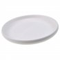 Training Frisbee Flying Disc For Beginner Teenager Outdoor Sport Disc Saucers White White