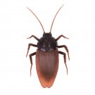 Remote Control Realistic RC Prank Toys Cockroach Toy Brown