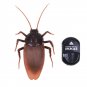 Remote Control Realistic RC Prank Toys Cockroach Toy Brown
