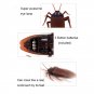 Remote Control Realistic RC Prank Toys Cockroach Toy Brown