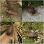 Remote Control Realistic RC Prank Toys Cockroach Toy Brown