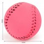 Dog's Solid Rubber Bouncy Ball Bite Resistant and Indestructible Pet Training Ball 6.5cm 5