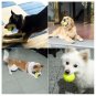 Dog's Solid Rubber Bouncy Ball Bite Resistant and Indestructible Pet Training Ball 6.5cm 5