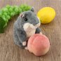 Search term:Funny Talking Hamster, Plush Toy, Sound Record,Educational Toy