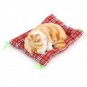 New Lovely Simulation Animal Doll Plush Sleeping Cats with Sound Kids Toy