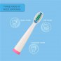 2 Pcs Portable Electric Replacement Brush Heads for Seago SG-899 Toothbrush