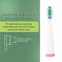 2 Pcs Portable Electric Replacement Brush Heads for Seago SG-899 Toothbrush