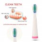 2 Pcs Portable Electric Replacement Brush Heads for Seago SG-899 Toothbrush