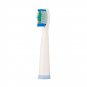 2 Pcs Portable Electric Replacement Brush Heads for Seago SG-899 Toothbrush