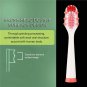 2Pcs Electric Replacement Dupont Nylon Brush Heads for Seago SG-880 Toothbrush