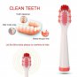 2Pcs Electric Replacement Dupont Nylon Brush Heads for Seago SG-880 Toothbrush