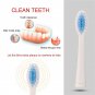 2Pcs Electric Replacement Dupont Nylon Brush Heads for Seago SG-881 Toothbrush
