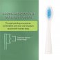 2Pcs Electric Replacement Dupont Nylon Brush Heads for Seago SG-881 Toothbrush