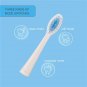 2Pcs Electric Replacement Dupont Nylon Brush Heads for Seago SG-881 Toothbrush