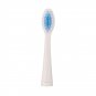 2Pcs Electric Replacement Dupont Nylon Brush Heads for Seago SG-881 Toothbrush