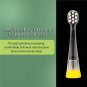 2Pcs Electric Replacement Brush Heads for Seago SG-811 Children Toothbrush