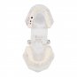 Professional Detachable Tooth Teeth Disease Moldel Dental Implant Display