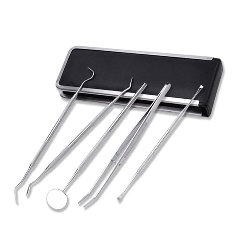 5PCS Oral Care Kit With Leather Storage Box Teeth Stain Tartar Remover Set