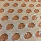 POTUS POP Trump Bubble Wrap Gag Gift 12x12 Sheet