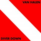 VAN HALEN Diver Down BANNER Huge 4X4 Ft Fabric Poster Tapestry Flag Print album cover art