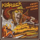 KID ROCK Sweet Southern Sugar BANNER Huge 4X4 Ft Fabric Poster Tapestry Flag Print album cover art