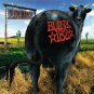 BLINK 182 Dude Ranch BANNER Huge 4X4 Ft Fabric Poster Tapestry Flag Print album cover art