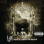 KORN Take a Look in the Mirror BANNER Huge 4X4 Ft Fabric Poster Tapestry Flag Print album cover art