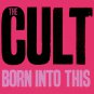The CULT Born Into This BANNER Huge 4X4 Ft Fabric Poster Tapestry Flag Print album cover art