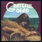 GRATEFUL DEAD Wake of the Flood BANNER Huge 4X4 Ft Fabric Poster Tapestry Flag Print album cover art