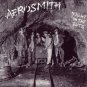 AEROSMITH Night In The Ruts BANNER Huge 4X4 Ft Fabric Poster Tapestry Flag Print album cover art